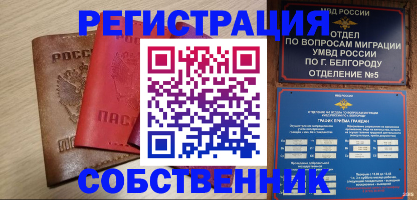 временная регистрация гарантия в Моршанске